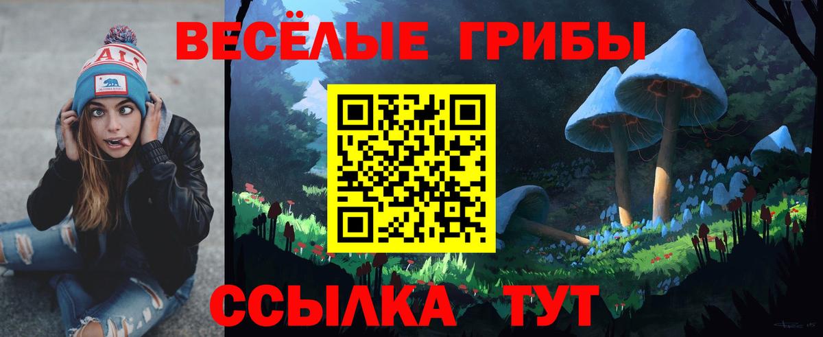 Ноябрьск  Псилоцибиновые грибы MAGIC MUSHROOMS  Галлюциногенные грибы GOLDEN TEACHER  Вход с VPN 