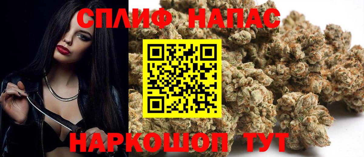Марихуана гибрид Ноябрьск